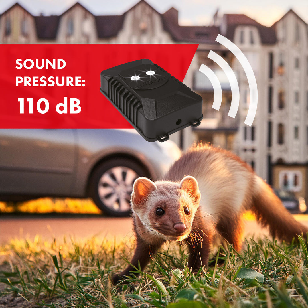 GreenBlue GB725 dissuasore per roditori e martore con ultrasuoni e LED + 4x batterie AA Varta Industrial