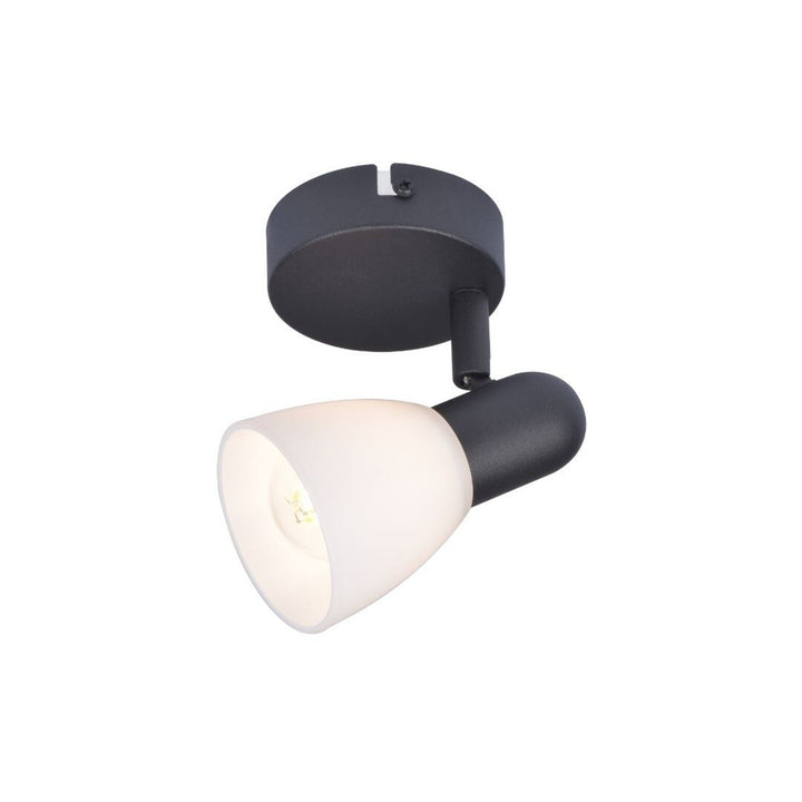 Lampada da soffitto Rabalux, spot, filettatura E14, IP20, nero, Soma
