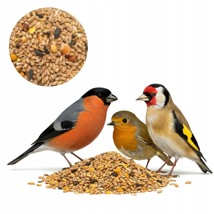 Mangiatoia per uccelli Woodok, legno di abete rosso, cotto, ganci robusti + semi per uccelli 1kg