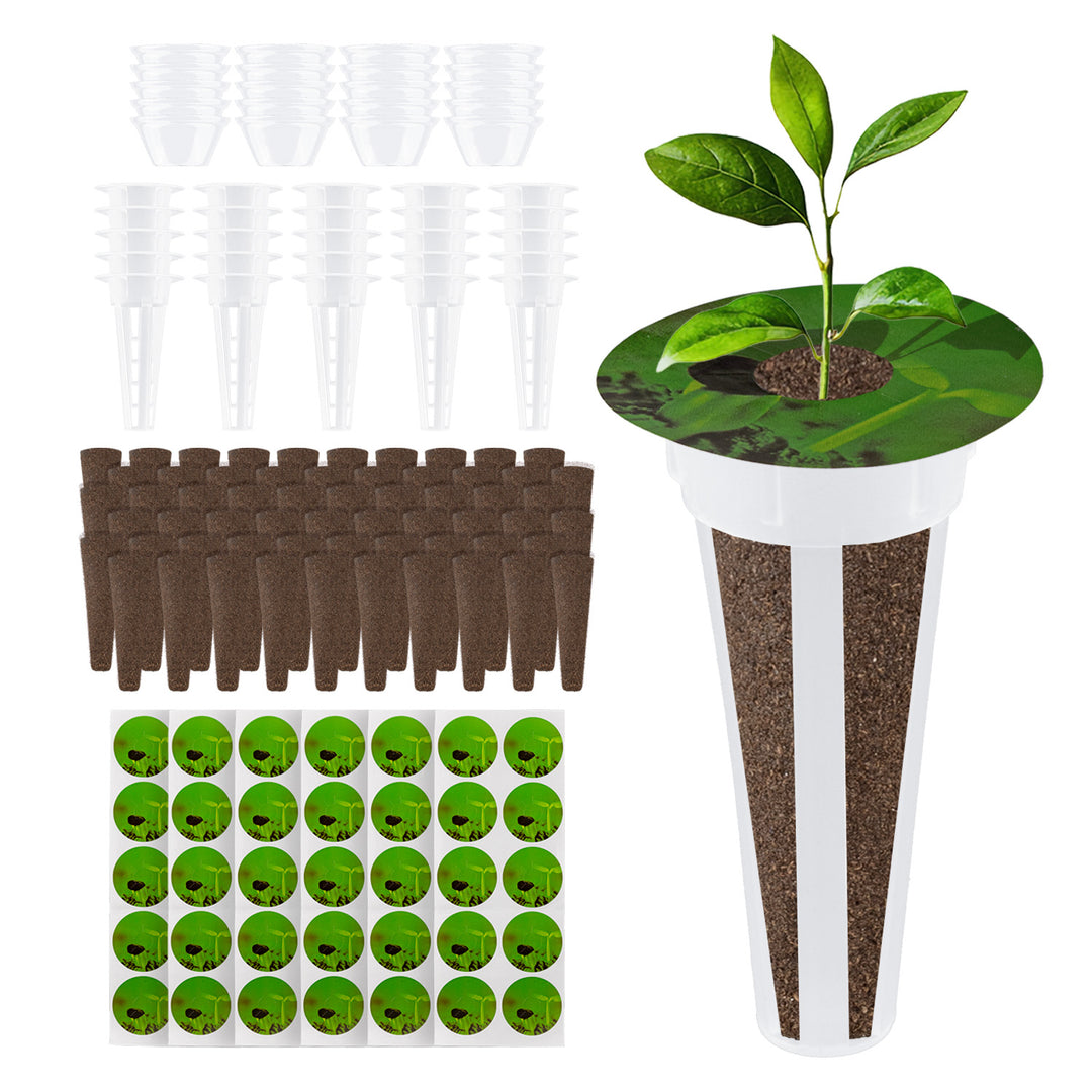 Set di accessori per la coltivazione indoor GreenBlue, spugne per semi x60, cupole x20, contenitori x20 e adesivi x60, GB133 AS