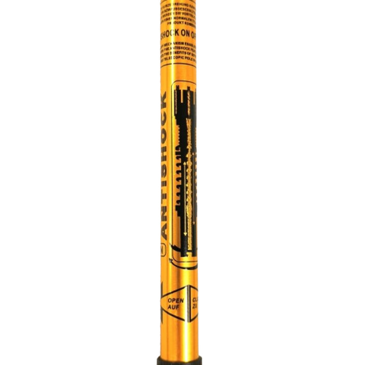 Bastoncini telescopici in alluminio per Nordic Walking 65-135 cm dorati