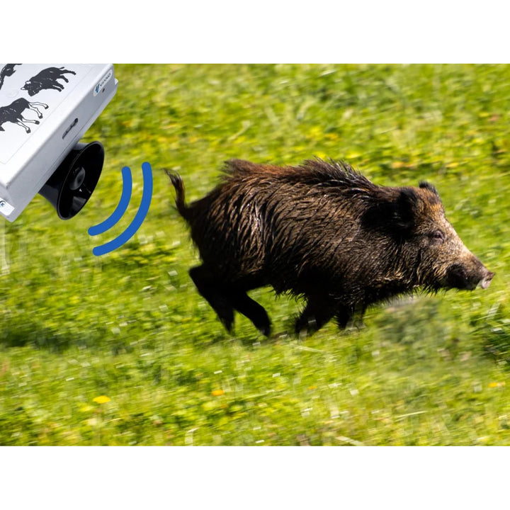 Repellente per animali selvatici, cinghiali, volpi, caprioli, Viano OZ1
