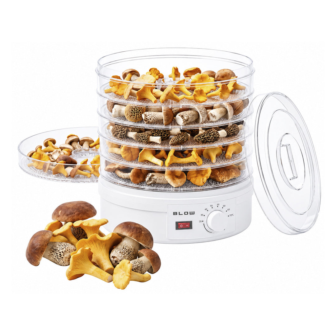 Essiccatore per funghi, verdura e frutta Blow, potenza 500 W, 6 vassoi inclusi, regolazione della temperatura 35-75 °C, 44-175